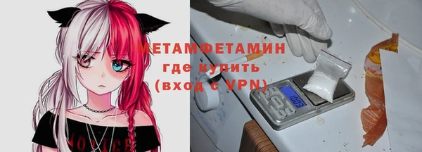 гидра Богородицк
