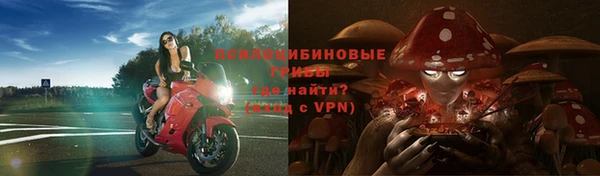 гидра Богородицк