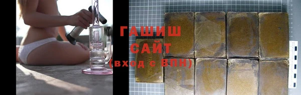 гидра Богородицк