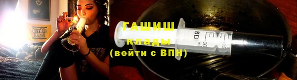 гидра Богородицк
