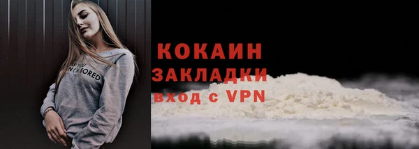 гидра Богородицк