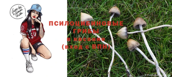 гидра Богородицк