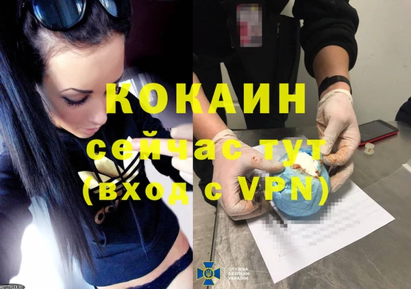 гидра Богородицк
