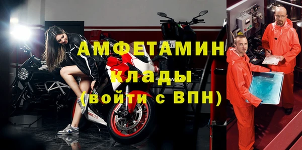гидра Богородицк