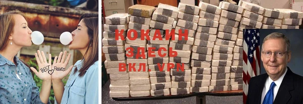 гидра Богородицк