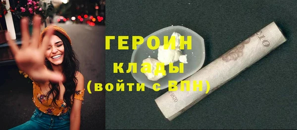 гидра Богородицк