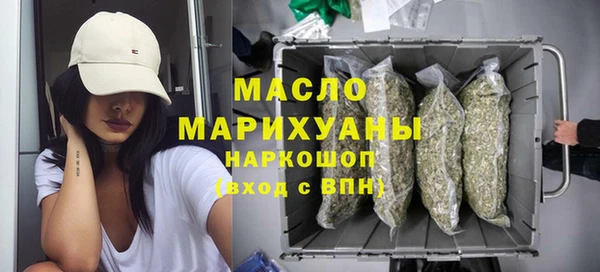 гидра Богородицк