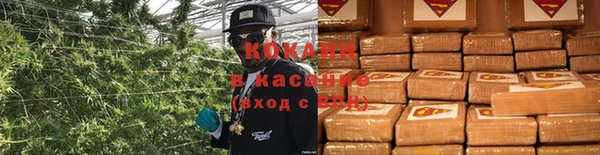 гидра Богородицк