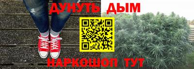 шишки Кинель