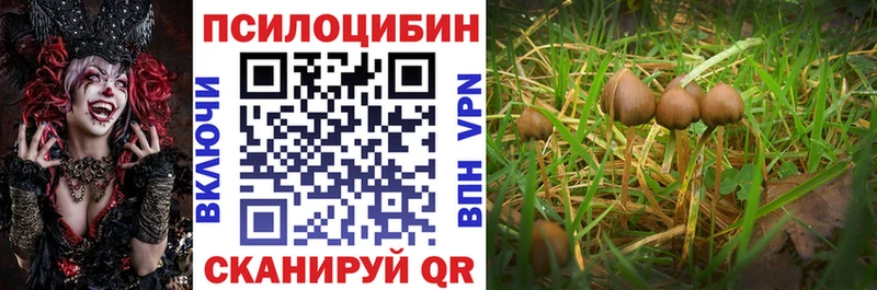 наркотики Наро-Фоминск kraken зеркало Галлюциногенные грибы мухоморы