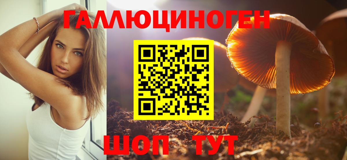Наро-Фоминск  дарнет шоп  Вход с VPN  Галлюциногенные грибы MAGIC MUSHROOMS 